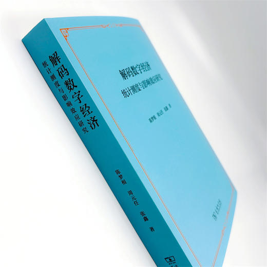 解码数字经济：统计测度与影响效应研究 商品图4