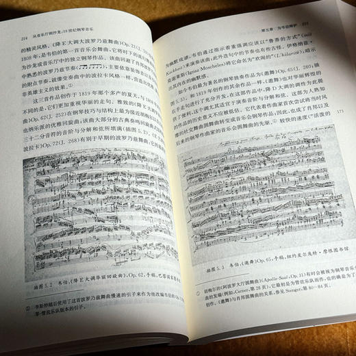 从音乐厅到沙龙 19世纪钢琴音乐 六点音乐译丛 商品图11