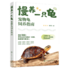 慢养一只龟：宠物龟饲养指南 商品缩略图1