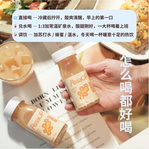 Rosa UP 刺梨生姜汁 | 贵州山野的一口酸甜辛暖，贵州刺梨× 生姜 × 苹果 × 针叶樱桃 商品图13