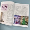 设计进化与可持续创新：设计趋势·未来形态·哲学思辨·人工智能 商品缩略图2
