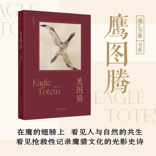 签名版《鹰图腾》摄汇万象书系 王晴著 浙江摄影出版社 商品图0