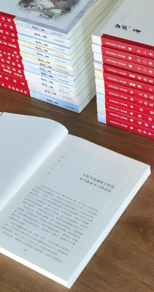 【特惠】《白羽武侠小说全集》平装，32开，20种全25册，宫白羽著，北岳文艺出版社2022年一版一印，售价：1380，售价：380元。 商品图4