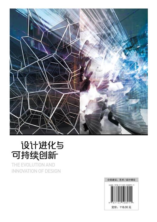 设计进化与可持续创新：设计趋势·未来形态·哲学思辨·人工智能 商品图4