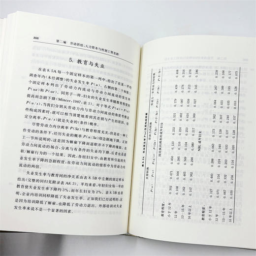 劳动供给研究(经济学名著译丛) 商品图9