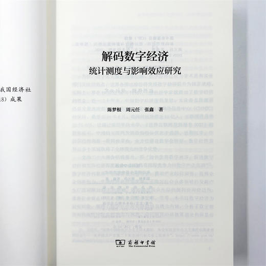 解码数字经济：统计测度与影响效应研究 商品图6