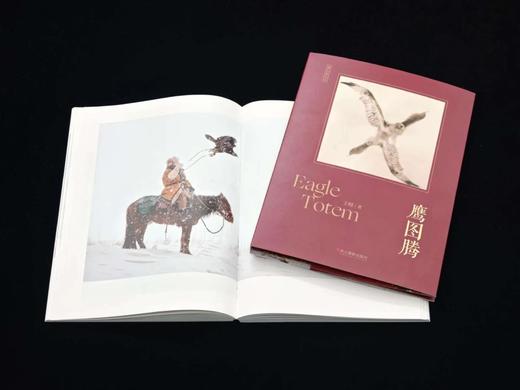 签名版《鹰图腾》摄汇万象书系 王晴著 浙江摄影出版社 商品图10