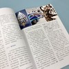 设计进化与可持续创新：设计趋势·未来形态·哲学思辨·人工智能 商品缩略图3