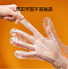【QT】恒旭塑业 食品级一次性手套40只 商品缩略图2