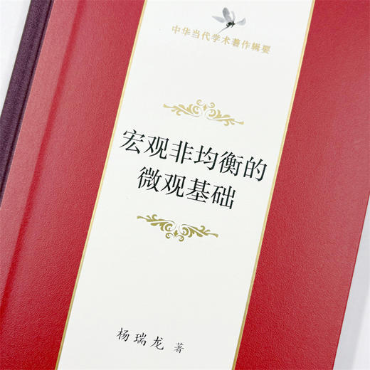 宏观非均衡的微观基础(中华当代学术著作辑要) 商品图6