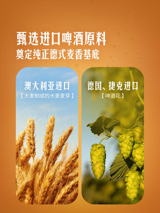 MM 山姆 Member's Mark 德式小麦啤酒（鲜啤酒）1L2 商品图3