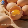 【浓香无腥味】物源初见 减醇鲜鸡蛋（叶黄素+硒） 30枚/箱 蛋黄圆润蛋液透亮 商品缩略图1