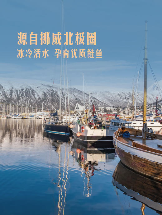 MM 山姆 Member's Mark 大西洋鲑鱼刺身 1X1PC 商品图2