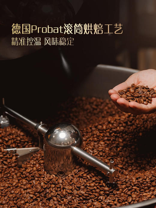 MM 山姆 Member's Mark 埃塞俄比亚精品咖啡组合 440g 商品图4