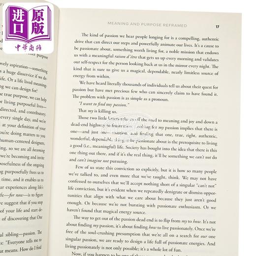 预售 【中商原版】比尔伯内特 如何过上有意义的生活 How To Live A Meaningful Lifpa 英文原版 Bill Burnett 商品图2