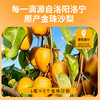 【1瓶=5个金珠沙梨】NFC金珠沙梨汁 梨中珍品 原果压榨营养丰富 口感细腻清爽 商品缩略图4
