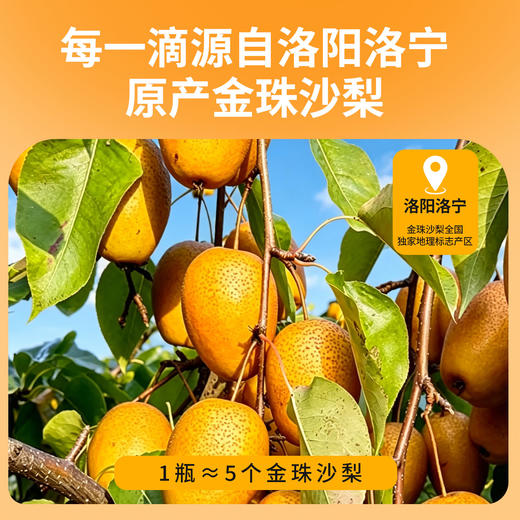 【1瓶=5个金珠沙梨】NFC金珠沙梨汁 梨中珍品 原果压榨营养丰富 口感细腻清爽 商品图4
