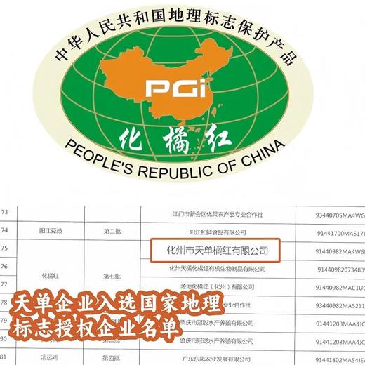 【赠试饮装 不满意包退】正宗国家地理标志！天单品牌 胎果化橘红，核心产区老树胎果，中大教授团队检测，权威认证，高品质原生态，润喉回甘醇厚悠长，自饮送礼不二之选 商品图11