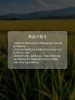 MM 山姆 华望特等有机五常大米 2.5kg*1/2 商品缩略图7