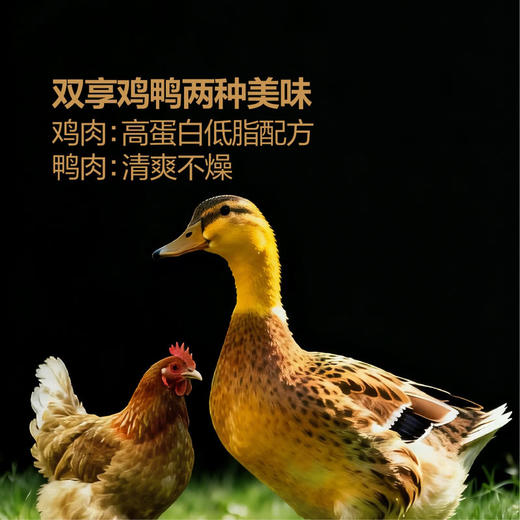 MM 山姆 朗诺 宠物零食 冻干原切肉粒 500g 商品图4