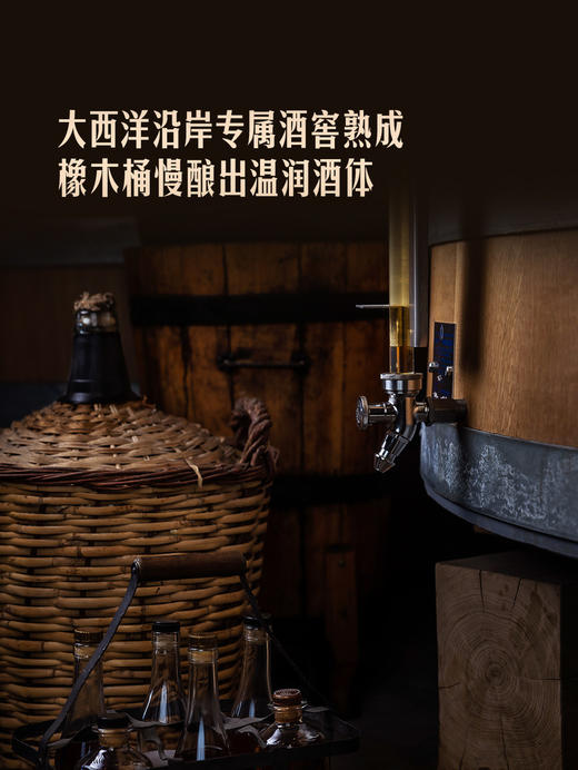 MM 山姆 Member's Mark 法国进口VSOP干邑白兰地 1.5L 商品图4