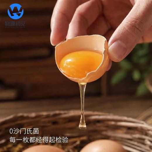 【浓香无腥味】物源初见 减醇鲜鸡蛋（叶黄素+硒） 30枚/箱 蛋黄圆润蛋液透亮 商品图3