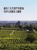MM 山姆 Member's Mark 法国进口VSOP干邑白兰地 1.5L 商品缩略图3