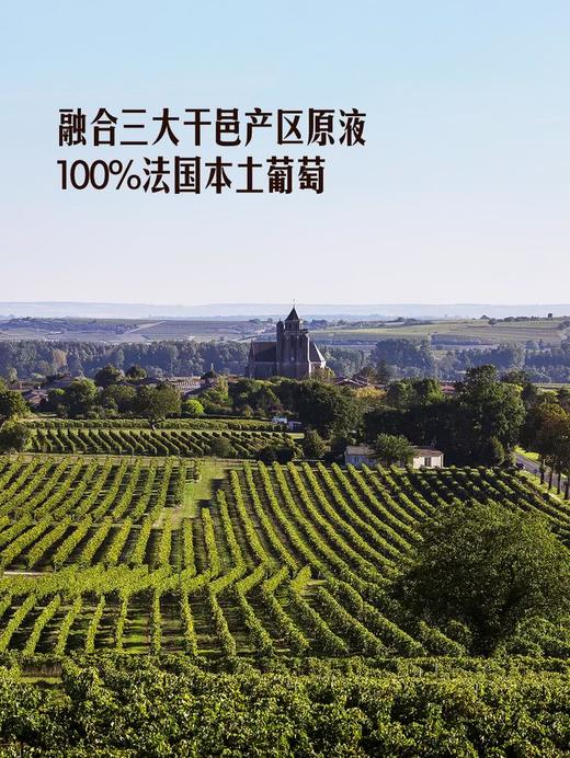 MM 山姆 Member's Mark 法国进口VSOP干邑白兰地 1.5L 商品图3