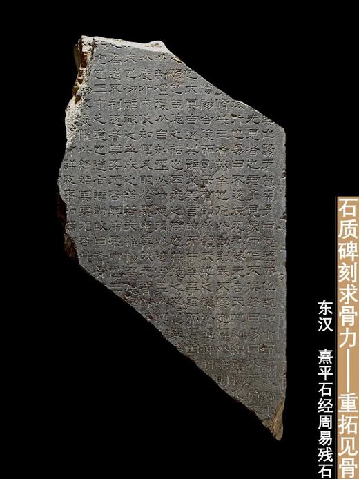 【重磅推荐】上海博物馆金石丛书5种：《青铜的荣耀》《时空的造型》《玺印的力量》《钱币的秘密》《传拓的鉴证》，16开，上海博物馆编，上海书画出版社，2026年一版一印， 商品图14
