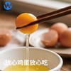 【浓香无腥味】物源初见 减醇鲜鸡蛋（叶黄素+硒） 30枚/箱 蛋黄圆润蛋液透亮 商品缩略图4
