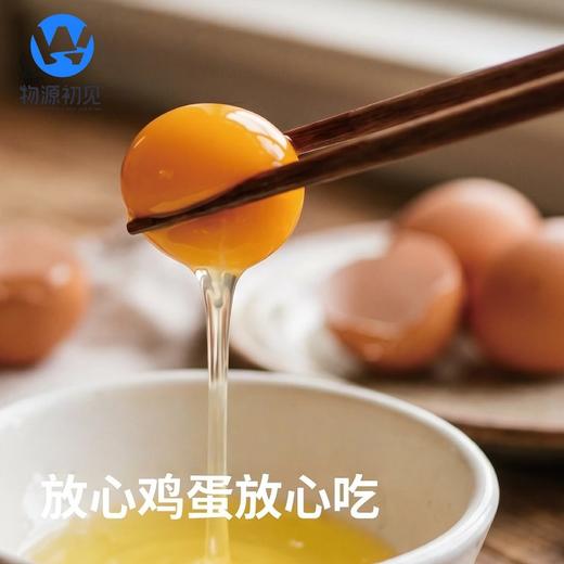 【浓香无腥味】物源初见 减醇鲜鸡蛋（叶黄素+硒） 30枚/箱 蛋黄圆润蛋液透亮 商品图4