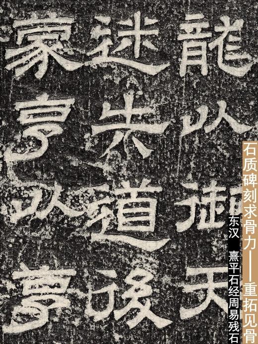【重磅推荐】上海博物馆金石丛书5种：《青铜的荣耀》《时空的造型》《玺印的力量》《钱币的秘密》《传拓的鉴证》，16开，上海博物馆编，上海书画出版社，2026年一版一印， 商品图13