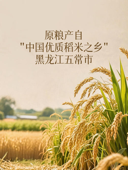 MM 山姆 华望特等有机五常大米 2.5kg*1/2 商品图3