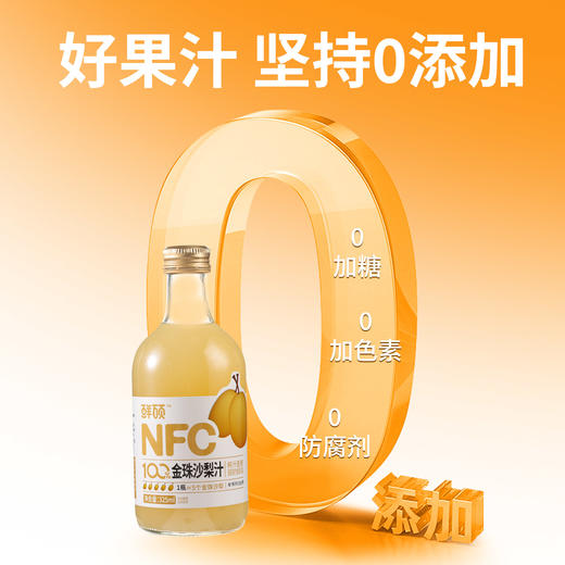 【1瓶=5个金珠沙梨】NFC金珠沙梨汁 梨中珍品 原果压榨营养丰富 口感细腻清爽 商品图3