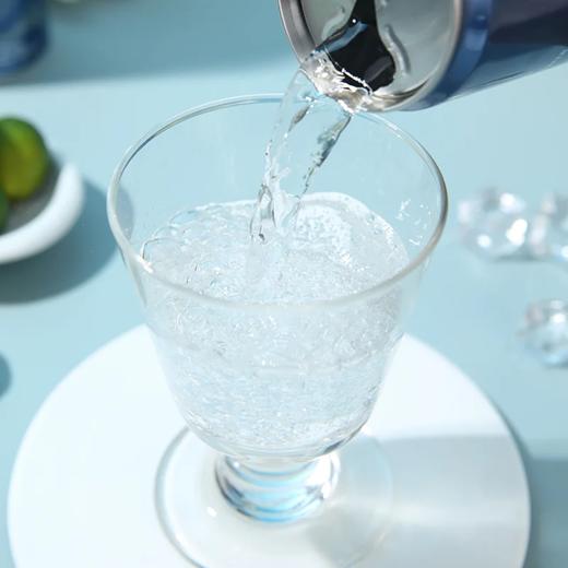 麦德龙 麦臻选 充气天然矿泉水 320ml*12/24罐 商品图4
