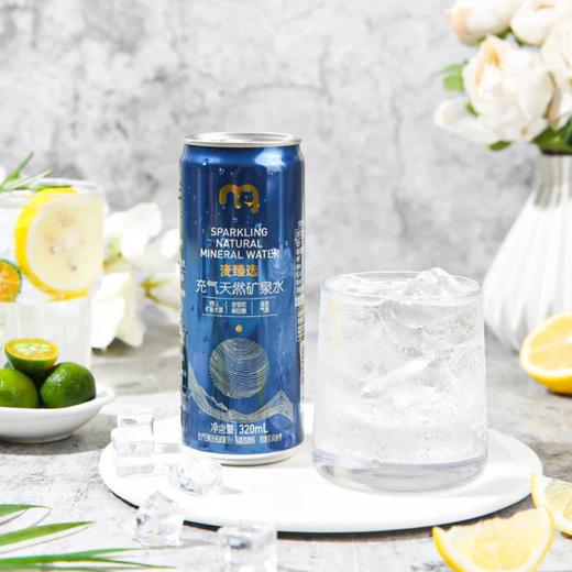 麦德龙 麦臻选 充气天然矿泉水 320ml*12/24罐 商品图2