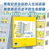 有许多窗户的房子:人生故事集 商品缩略图0
