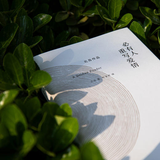 北岛：必有人重写爱情 自传性读本 收录长诗《歧路行》选章 中国当代文学书籍 理想国 商品图4