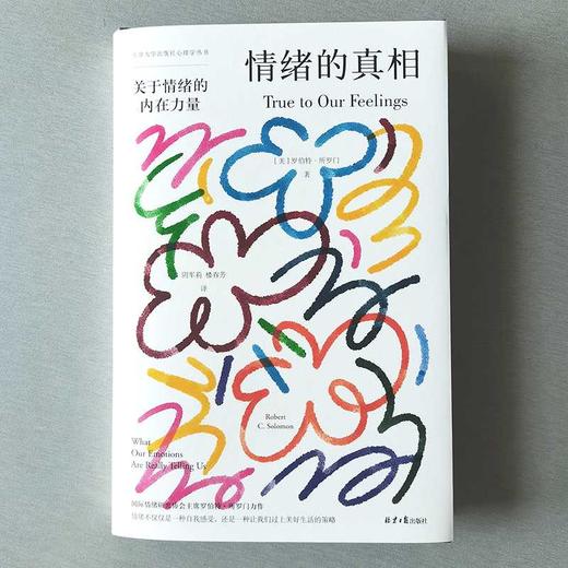 情绪的真相 商品图2