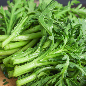 【YMHR】茼蒿 清香大叶美味茼蒿