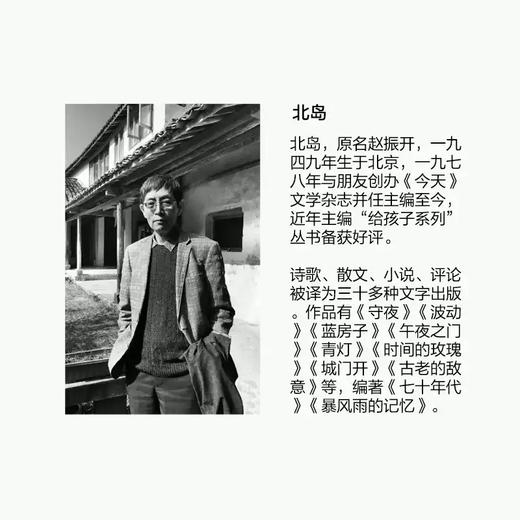 北岛：必有人重写爱情 自传性读本 收录长诗《歧路行》选章 中国当代文学书籍 理想国 商品图6
