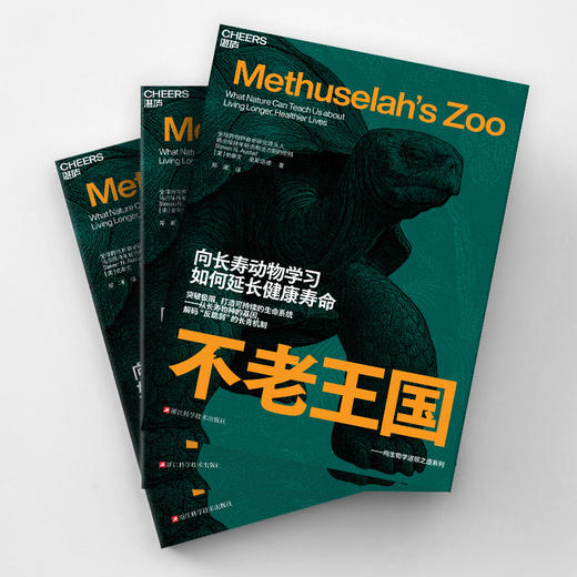 不老王国 商品图3