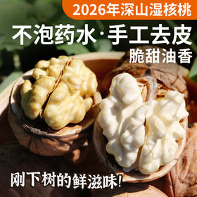 安心优选农家新鲜湿核桃 1斤 去青皮发货  果仁饱满  脆嫩香甜  核桃