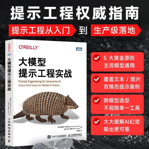 大模型提示工程实战 商品图1