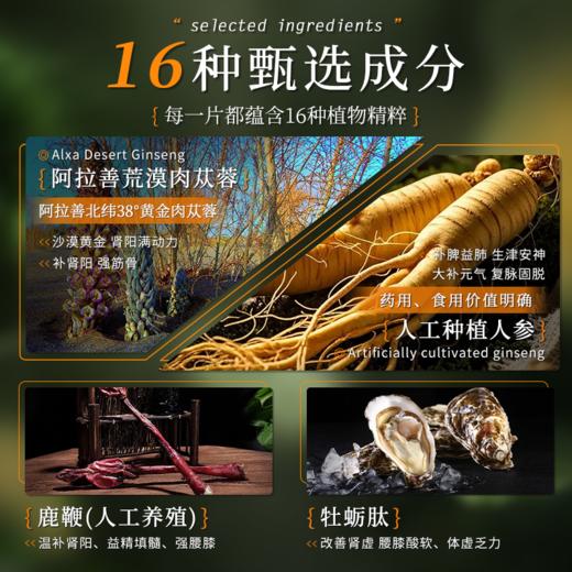 黑豹元养双参鹿鞭肉苁蓉牡蛎肽压片糖果 42片/盒 商品图2
