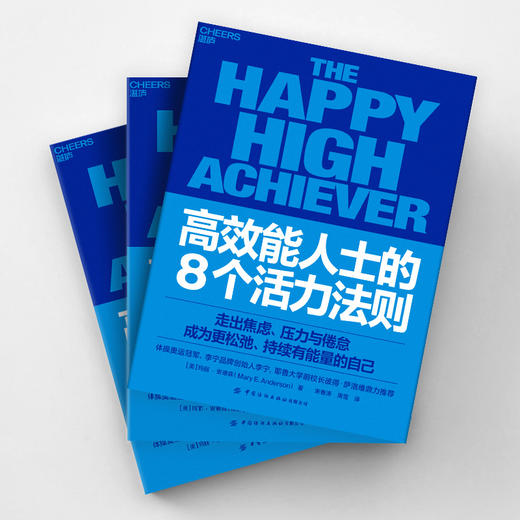 高效能人士的8个活力法则  玛丽安德森 告别倦怠内耗，李宁推荐 商品图3
