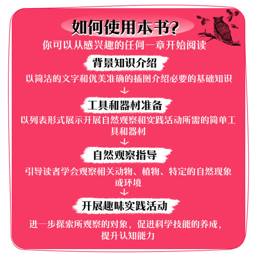 我的第一堂自然探索课(第二辑)(全4册) 商品图3