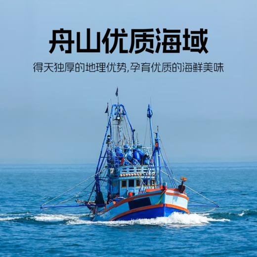 【高蛋白0脂肪！产地直发！无注水！】舟选 东海红虾仁 纯野生红虾 鲜活现剥锁鲜 180g/袋 商品图10