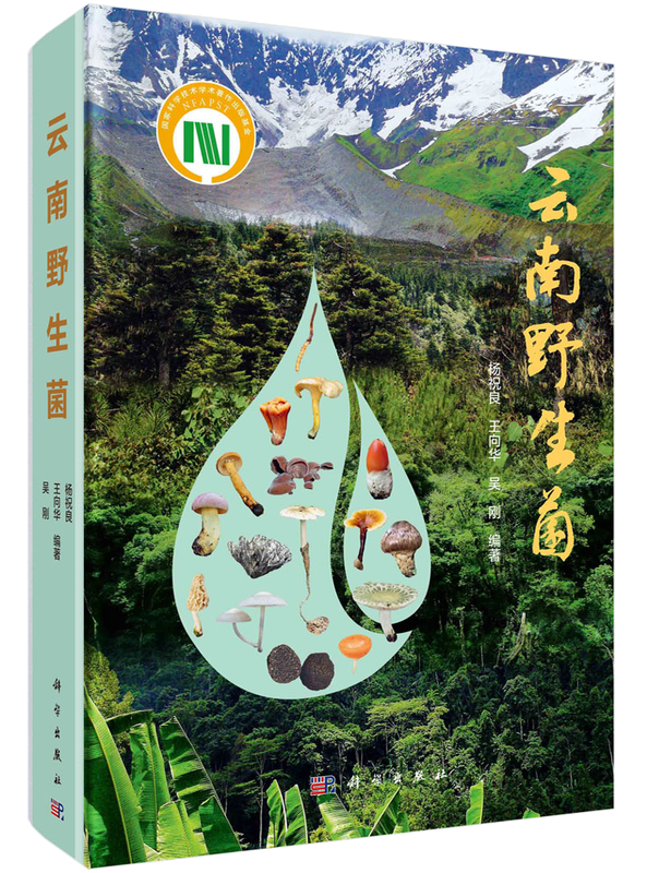 云南/大型真菌/野生菌/蘑菇/蘑菇中毒/生物多样性保护/杨祝良/国家科学技术学术著作出版基金/云南野生菌识别和鉴定的工具书/科普