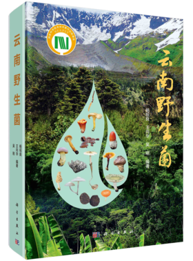 云南/大型真菌/野生菌/蘑菇/蘑菇中毒/生物多样性保护/杨祝良/国家科学技术学术著作出版基金/云南野生菌识别和鉴定的工具书/科普
